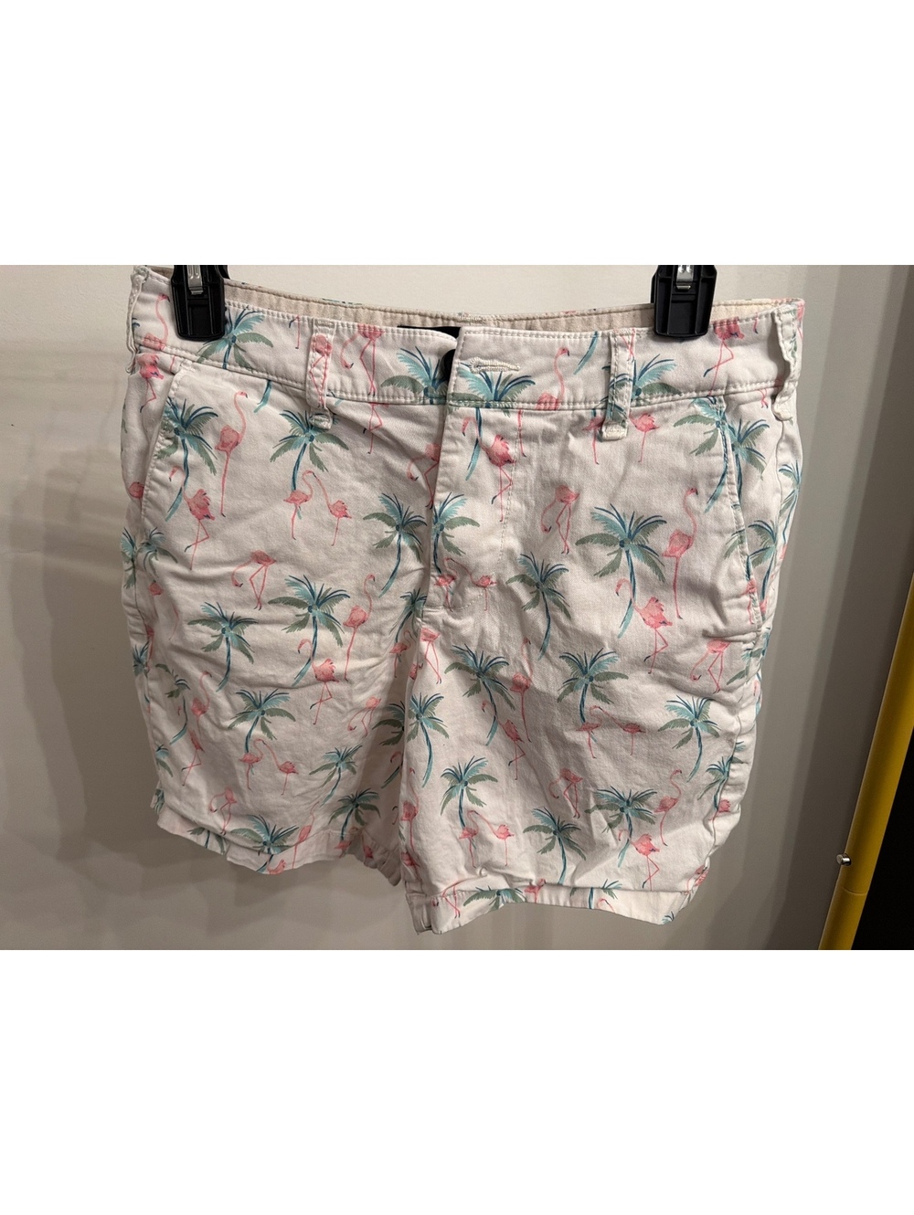 Hollister Flamingo and Palm Tree Print Shorts Size W29